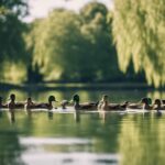 Cómo encontrar fe cuando los patos se hunden: Una visión cristiana